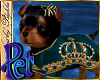 I~Royal Yorkie*Teal Pet