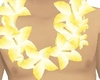 Yellow Hawaiian Lei