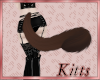 Kitts* Chocolate Tail v2