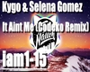 Kygo & Selena Gomez(Rmx)