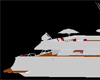 [G] white yacht