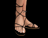 Gladiator Sandals
