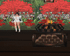 Romantic Garden