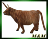 M&T-Kyloe Cattle Bull