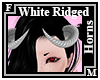 White Ridged Horns
