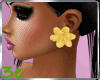 [3c] Flowers Earrings