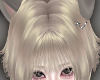NNN.Gwen WolfCut2.0