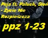 Peja ft. Paluch, Slon -