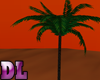 DL: Palm Tree Dark