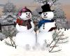 Mr. and Mrs. Frosty