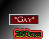 [2S] Gay