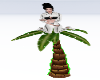 Palm Tree e