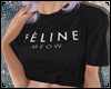 ☯| Féline