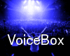 DJ VoiceBox*