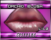 🍦Lila Lips Orchid 