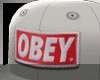 -Dn- Snap Back OBEY