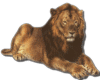 -LD-Animated Lion