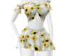 Sunflower Full