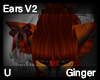 Ginger Ears V2