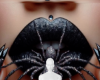 Spider lips background