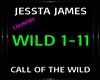 Jessta James~Call Of The