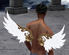 White n Gold Wings M/F