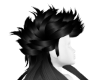 Black crest hair