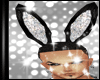 Costum Sexy Bunny Ears