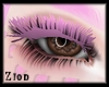 Coral Pink Lashes