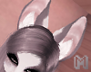 MALONE Cute Bunny Ears