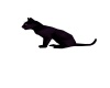 {LS} Black Cranky Cat