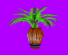 (S) NEW VASE