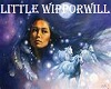 [MS] Little Wipporwill