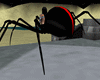 Creepy Spider Avatar