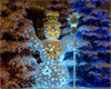 Snow Man Wall Curtain