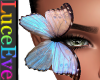 Large Lash Butterfly L