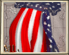 ML Patriotic Wide Pants