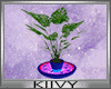 K|Valentine Heart Plant1