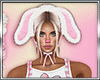 B*Cute Easter Bunny BUND