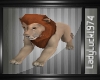  Realistic Lion