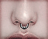 Septum