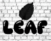LB | Flare Jeans 1/3 F