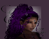 SWH Curly Black-Lila