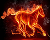 (KD) Fire Horse