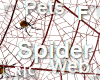 R|C Spider Web Yellow F