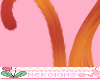 Cattail Ginger