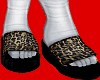 bkny sandals