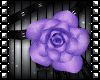 Sinz | Rose Choker PP