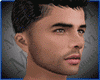 Realistic Male HEAD