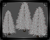 Christmas Trees